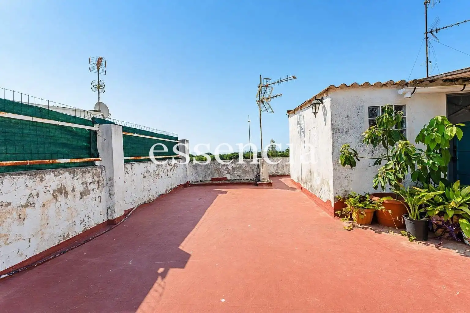 Terraza de Piso en venta en Gandia con Terraza y Balcón