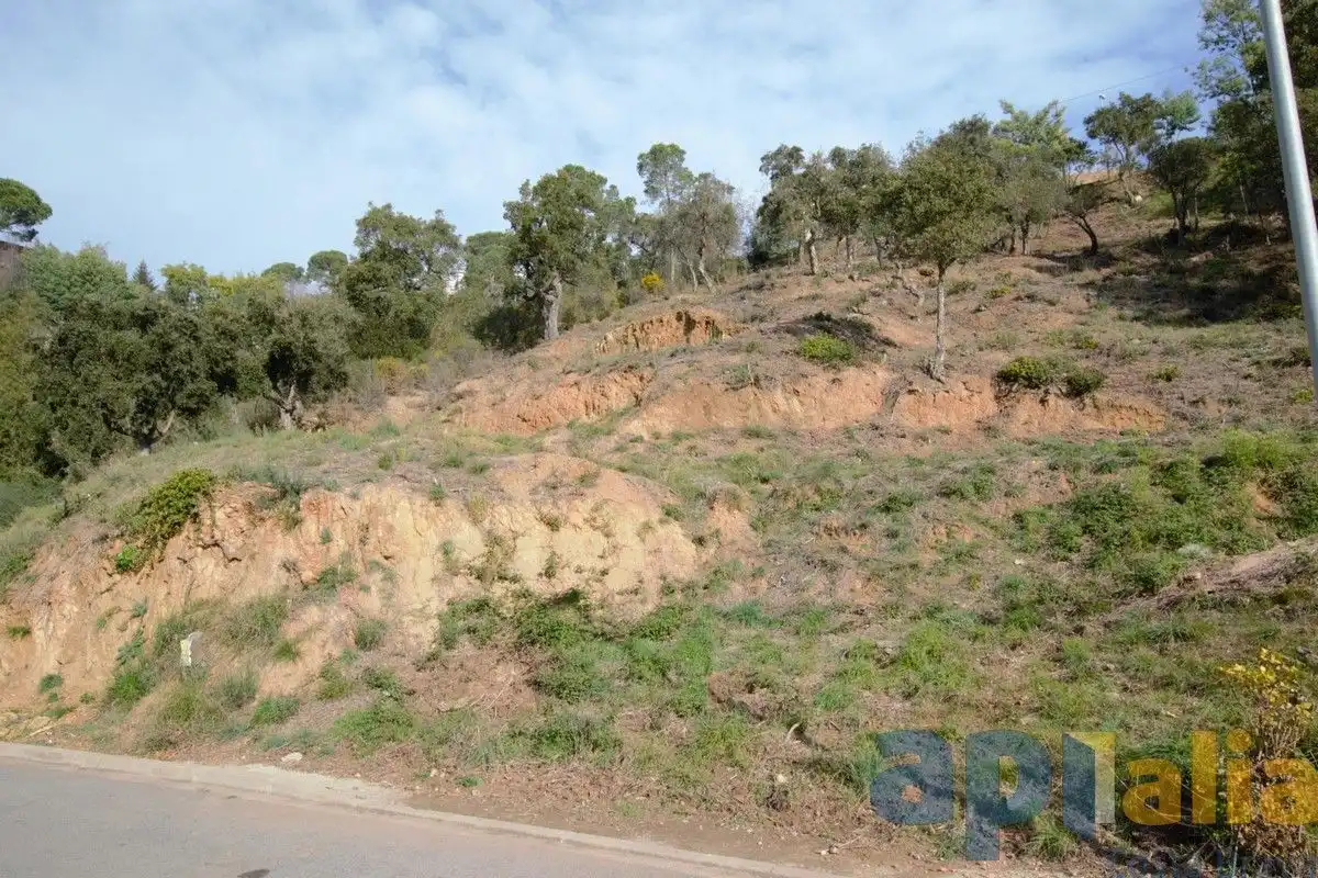 Residential land for sale in Carrer Eucaliptus, imagen 3