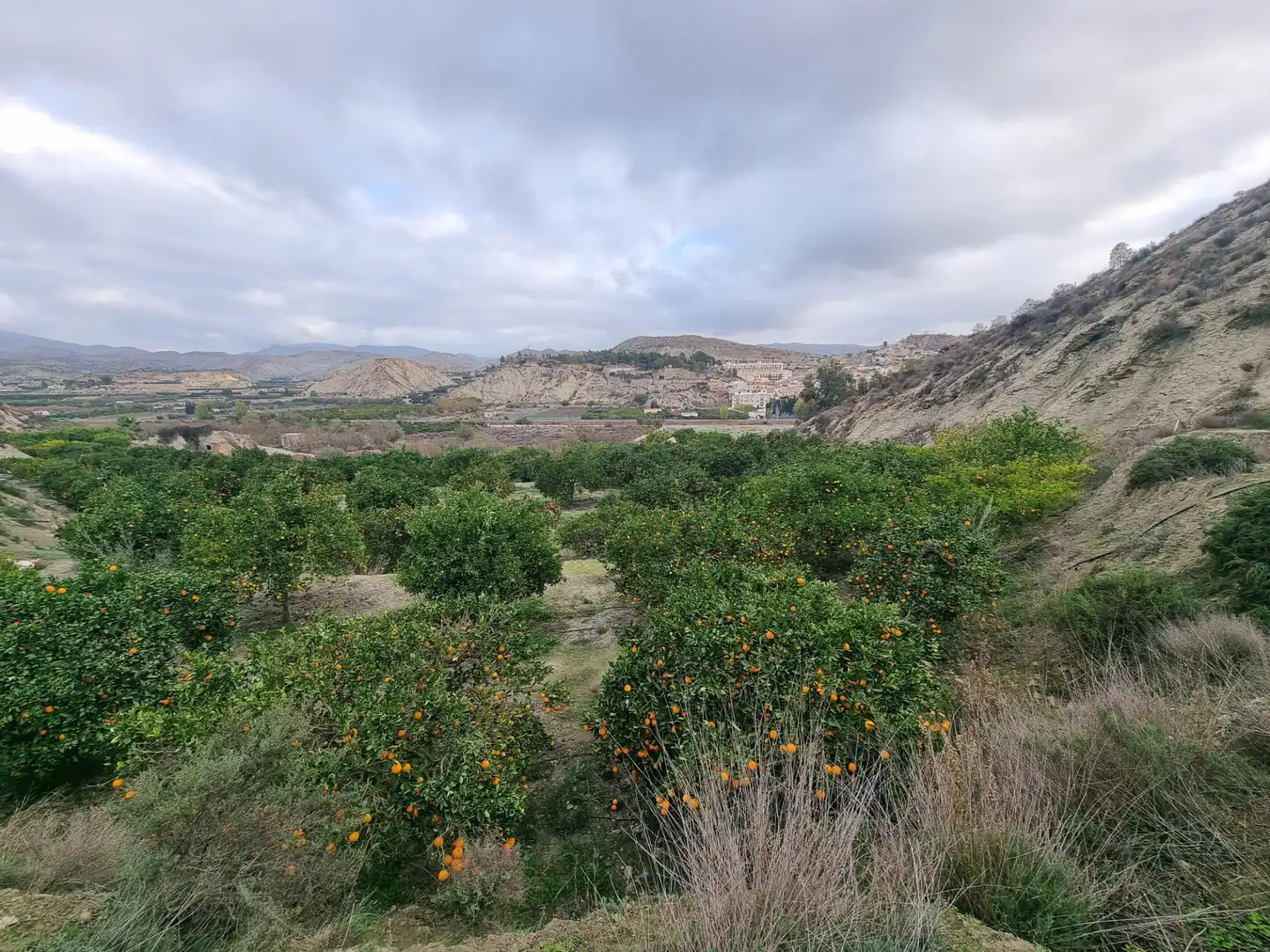 Rural land for sale in Calle Camino Ancho 4, imagen 26