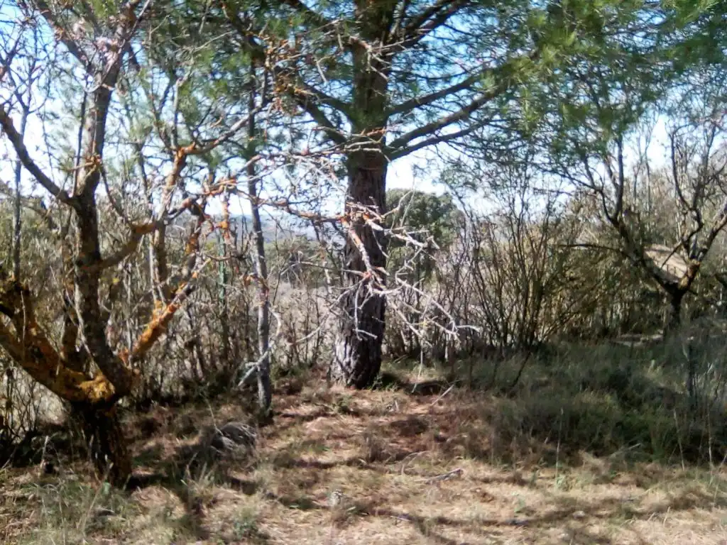 Terrenos y solares en venta en Hontoba, imagen 12