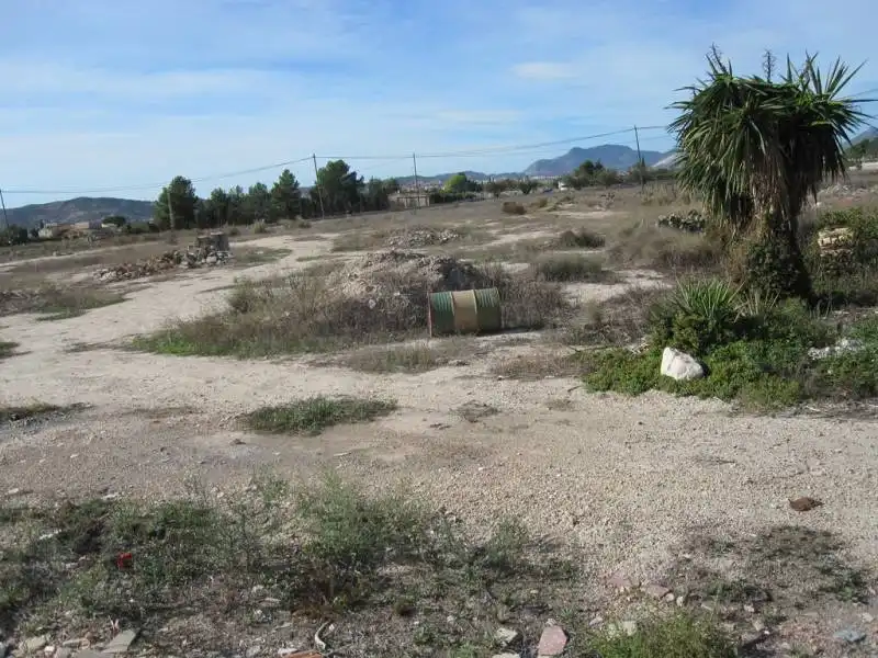 Finca rústica en venda en Novelda