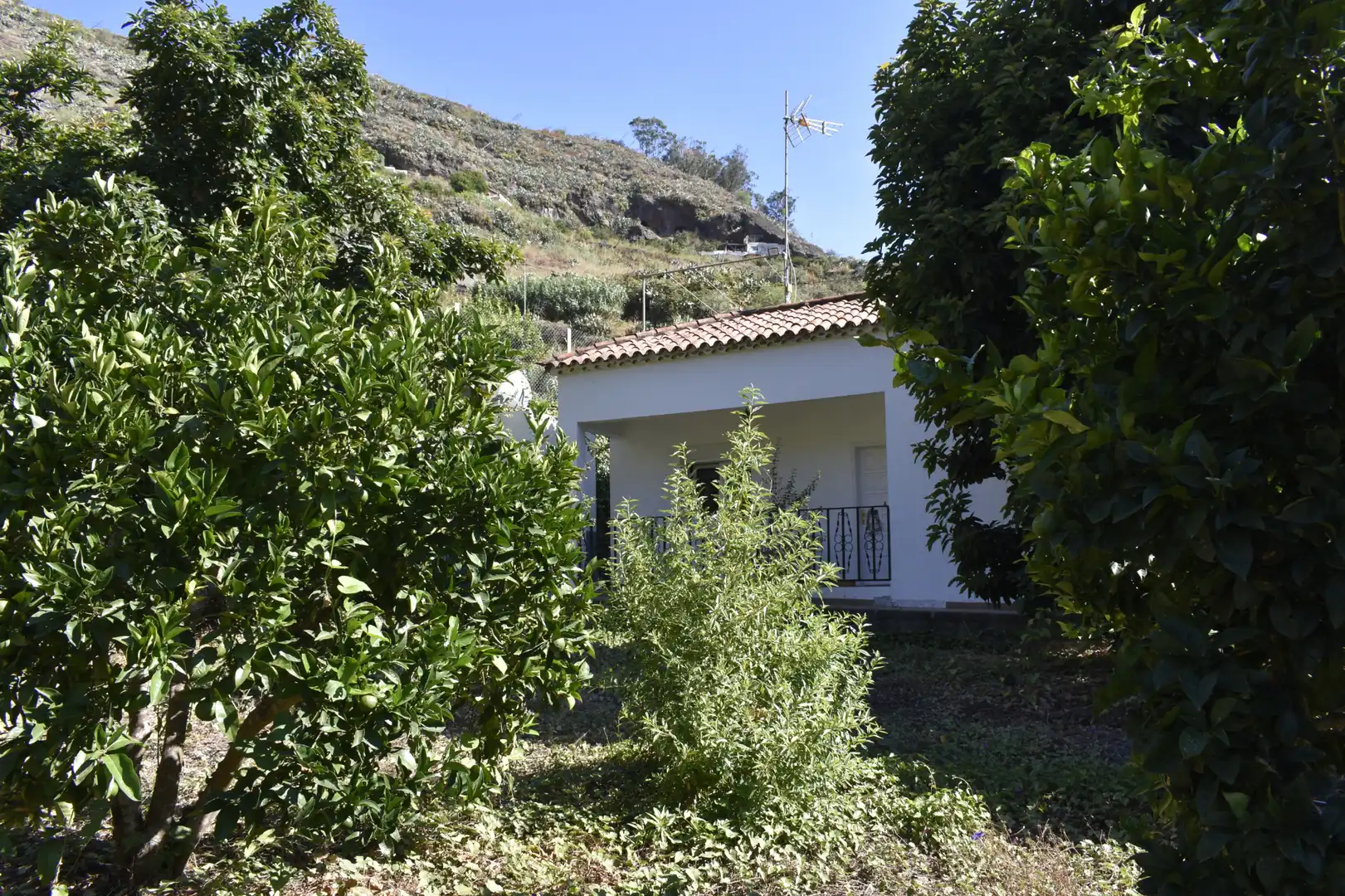 Jardí de Casa o xalet en venda en Teror amb Calefacció, Jardí privat i Terrassa
