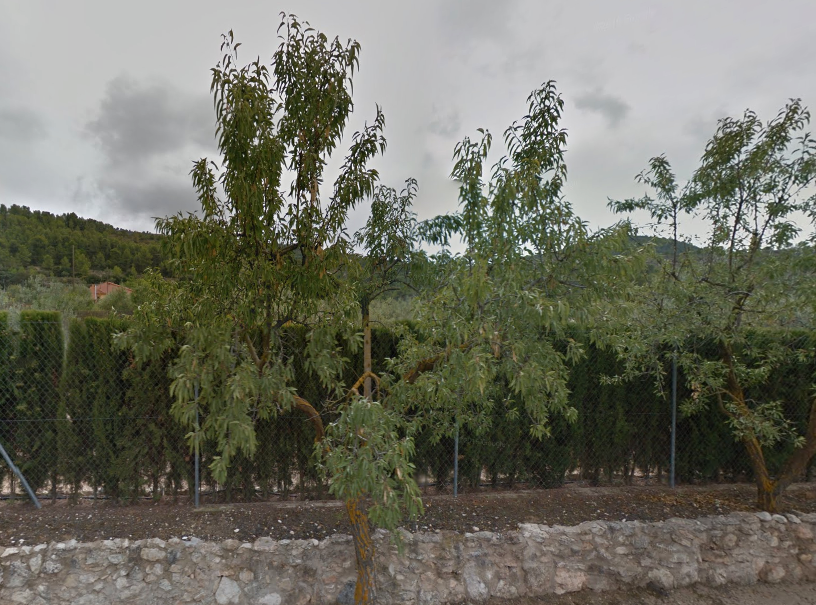 House or chalet for sale in Biar