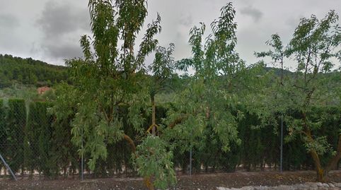 Finca Rústica con Encanto en Biar Alicante  Oportunidad Única
