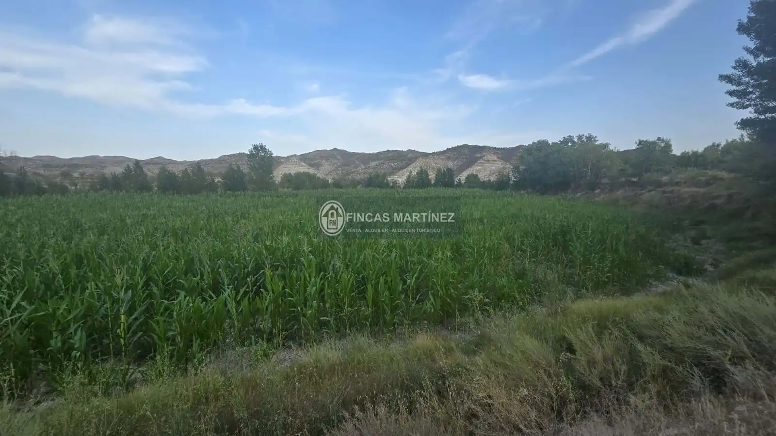 Casa o chalet en venta en Castilléjar con Trastero y Amueblado