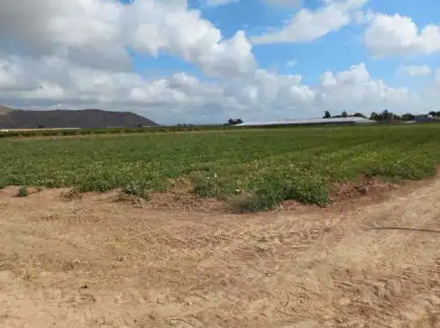 Terreno en venta en Partida Torre de Aguado , Dolores de Pacheco - Santa Rosalía