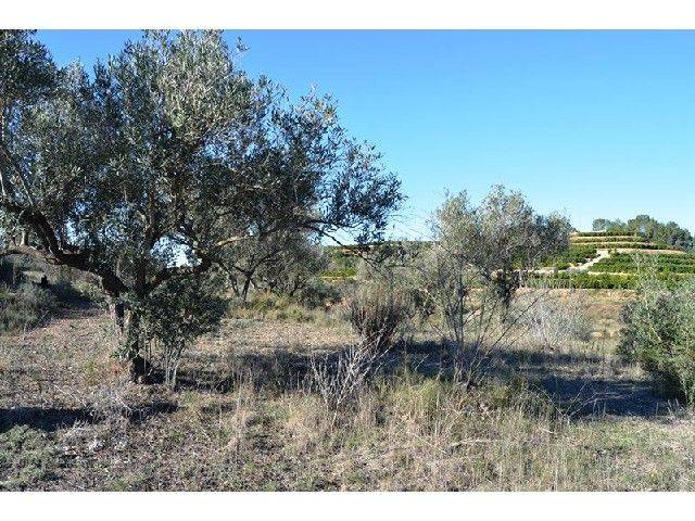 Terreno en Venta en Genovés