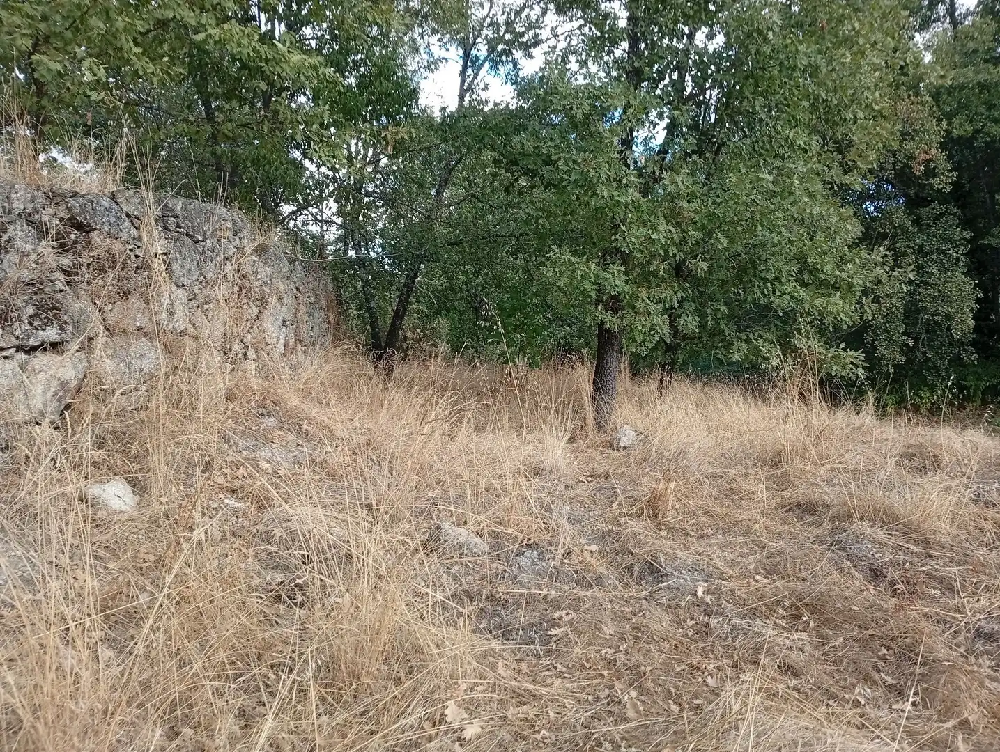 Terreni e lotti in vendita a Villanueva de la Vera, imagen 55