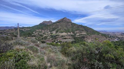 Photo 5 of Residential for sale in N-332, 332, Canuta, Alicante