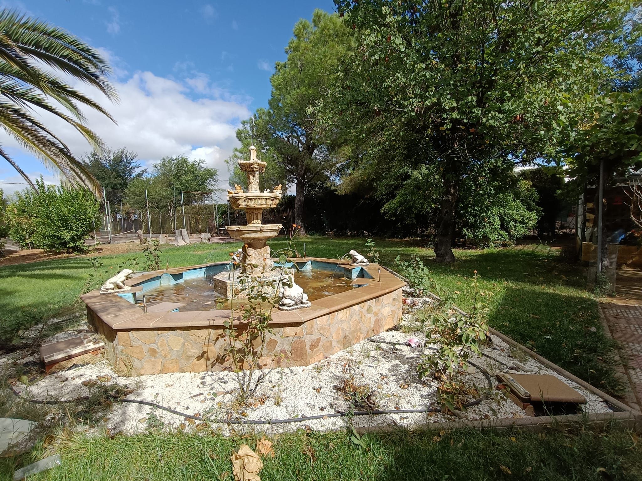 Swimming pool of House or chalet for sale in Ciudad Real Capital  with Air Conditioner, Private garden and Swimming Pool