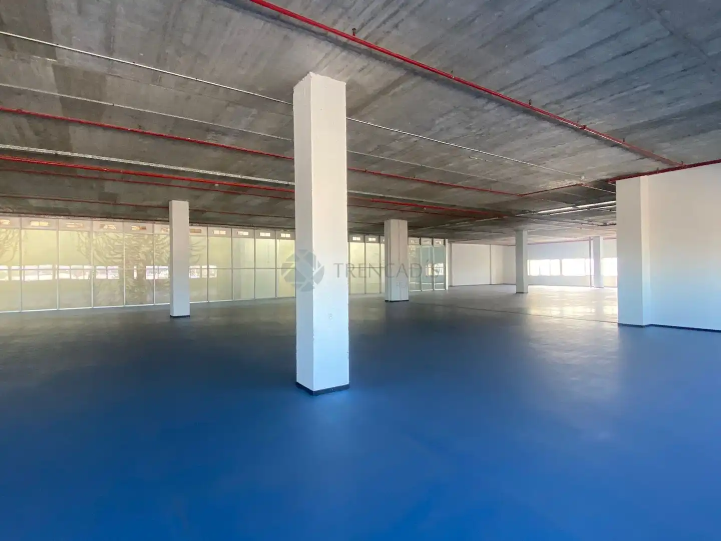 Gewerbefläche zum Verkauf in edificio el mundo, imagen 6