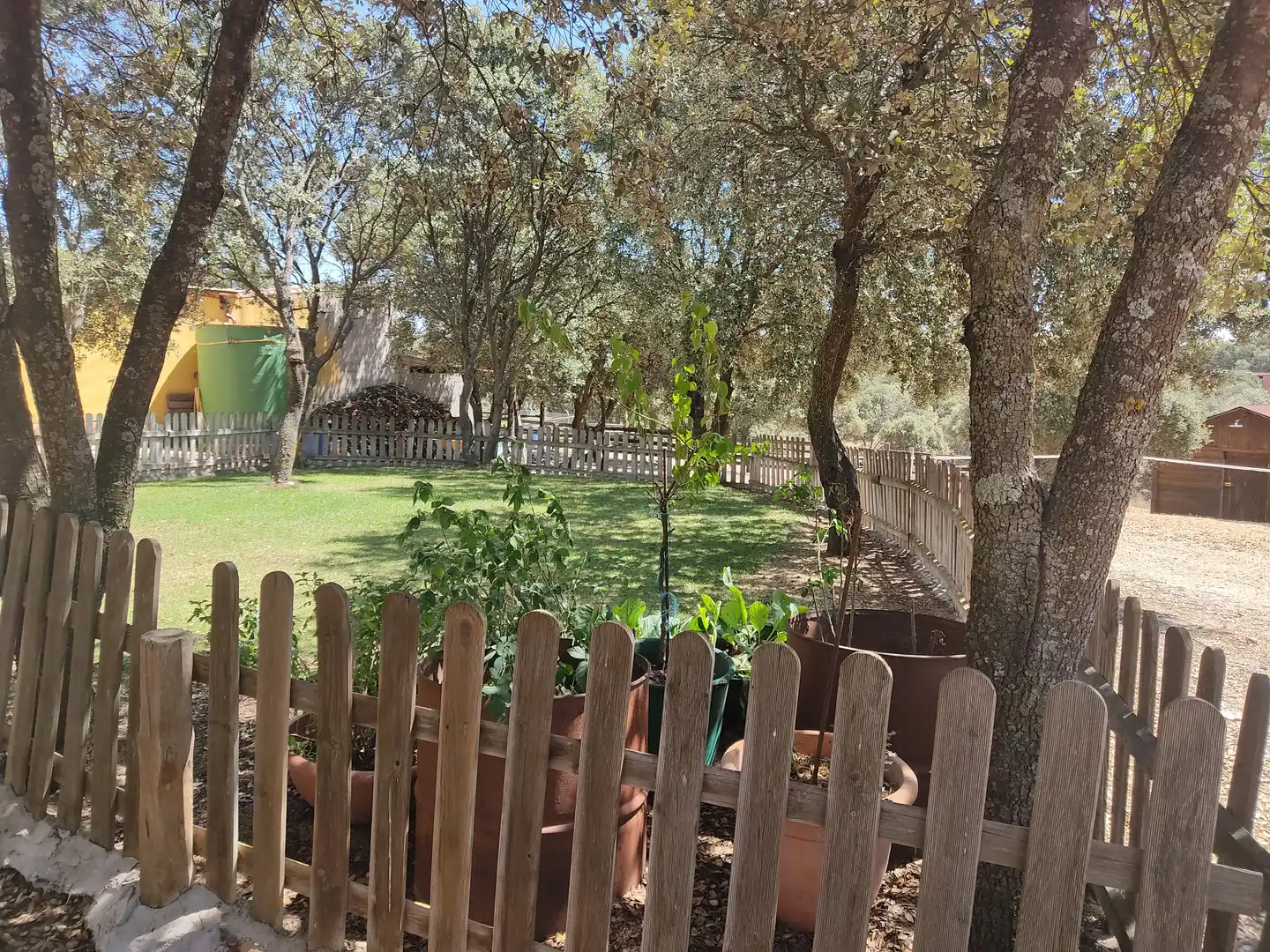 Jardí de Finca rústica en venda en Málaga del Fresno