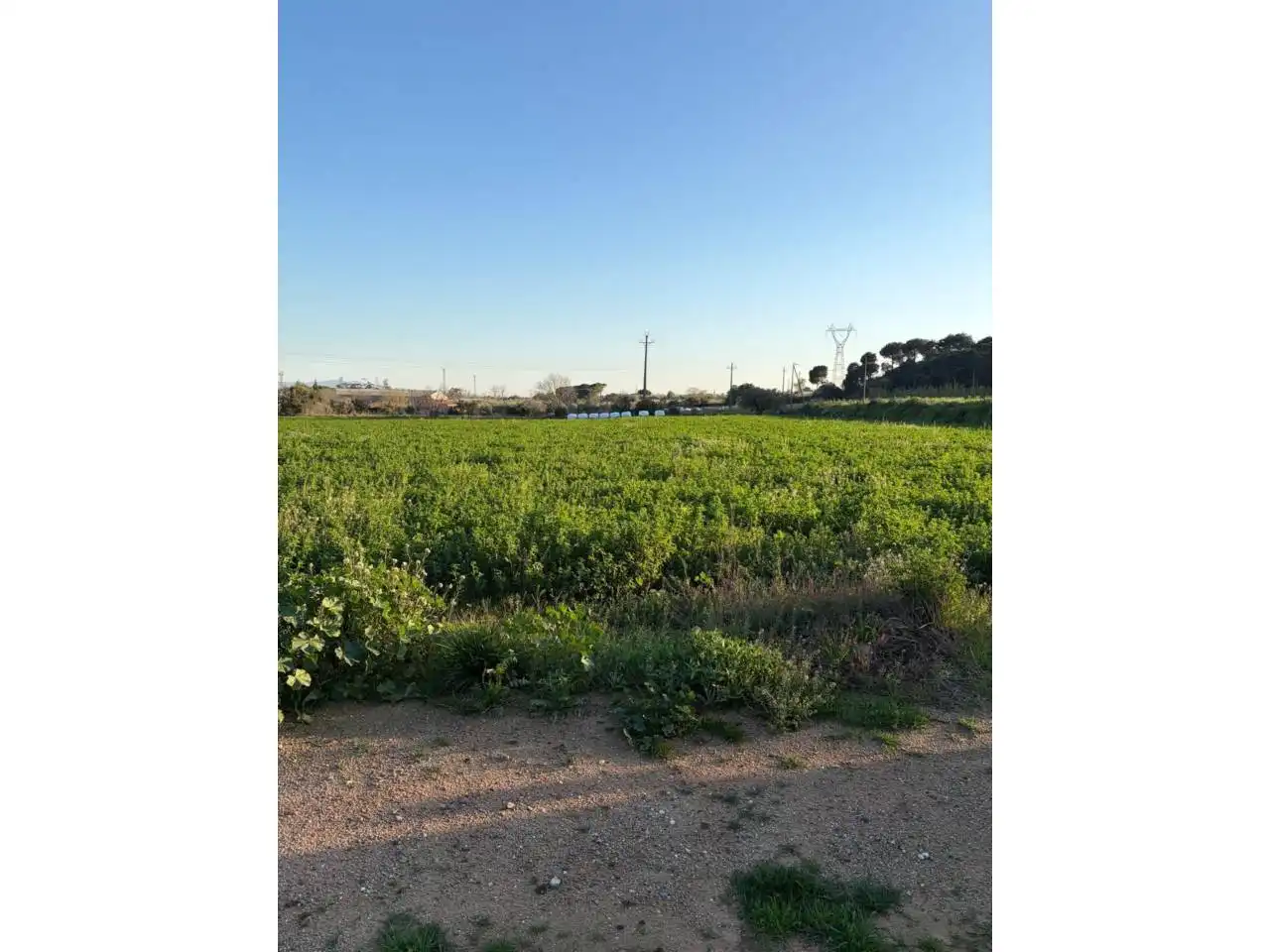 Land for sale in Caldes de Montbui