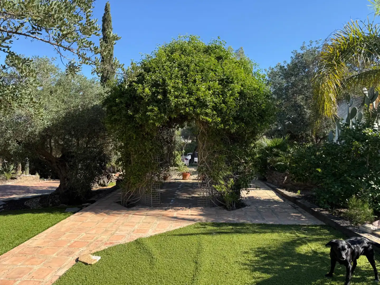 Chalet con piscina en venta en Calle MIZAR (ALCAYNA), imagen 5