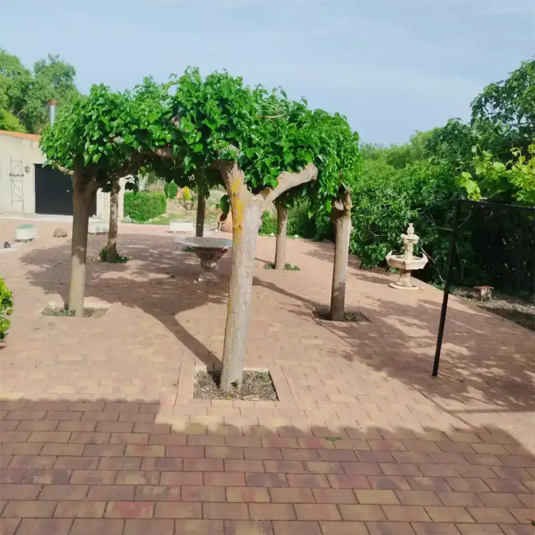 Terrassa de Casa o xalet en venda en Bogarra amb Jardí privat, Traster i Moblat