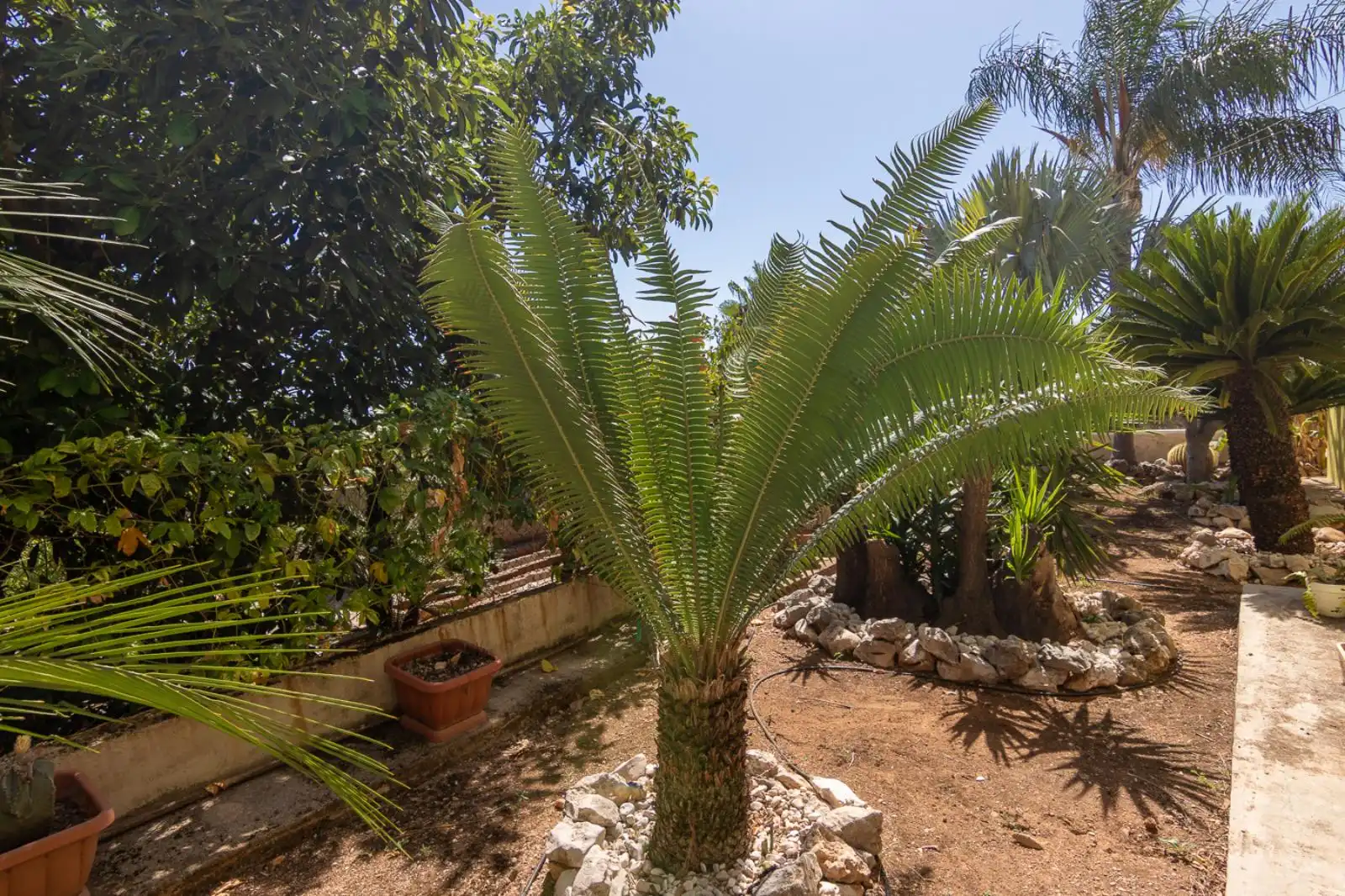 Detached house with terrace for sale in Tormos, imagen 48