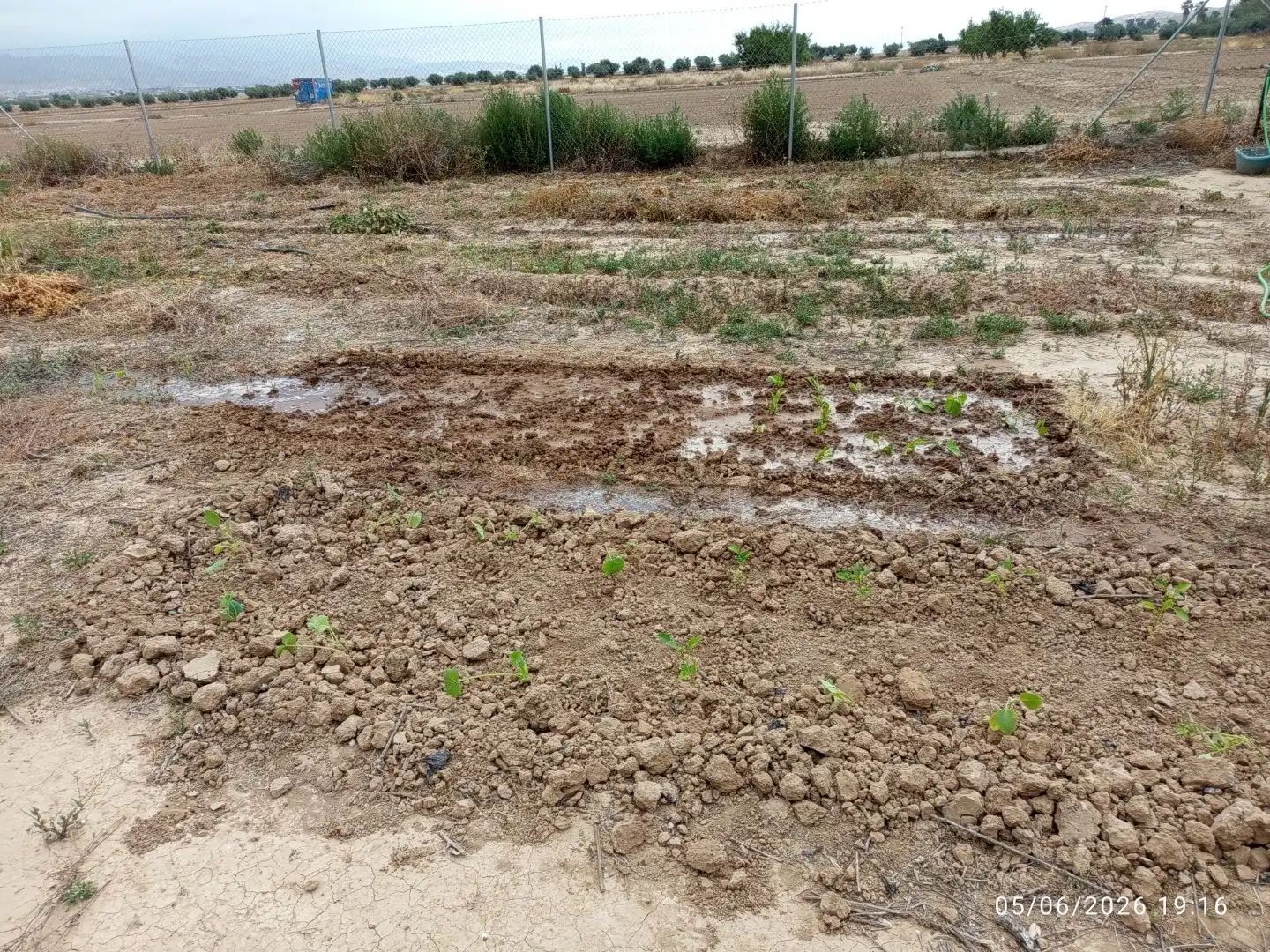 Terreno en venta en Lorca