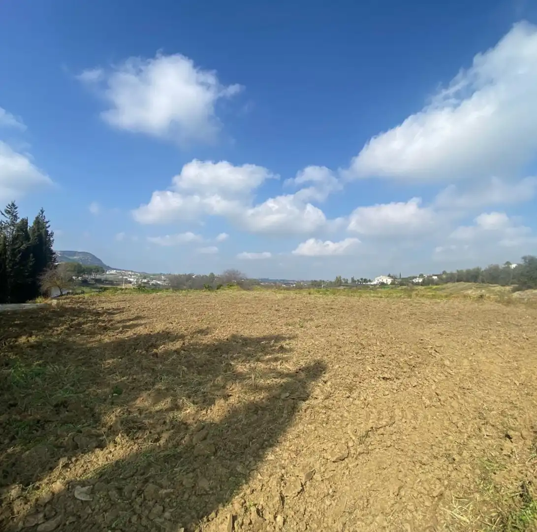 Terreno rustico in vendita a Casalpalma - Fahala, imagen 9