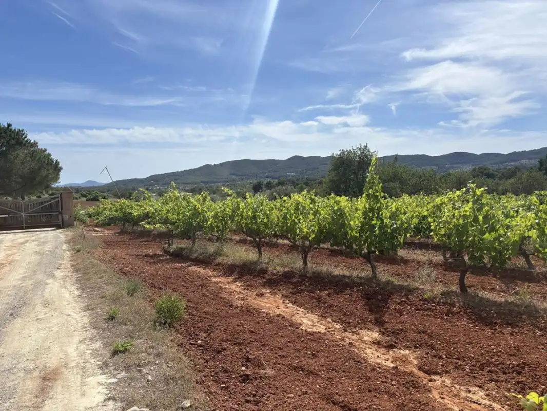 Land for sale in Sant Joan de Labritja