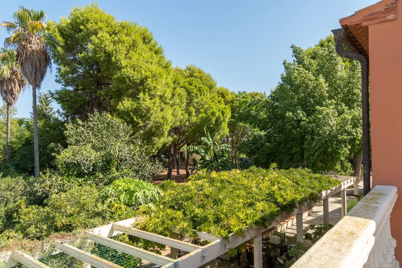 Country house for sale in La Pedrera - Vessanes, imagen 7
