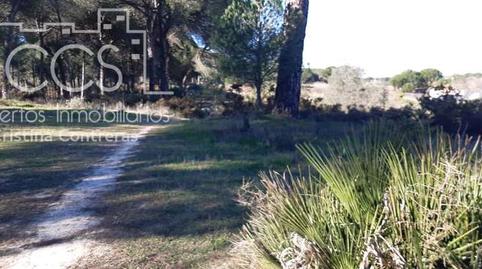 Foto 3 de Finca rústica en venta en Almonte ciudad, Huelva