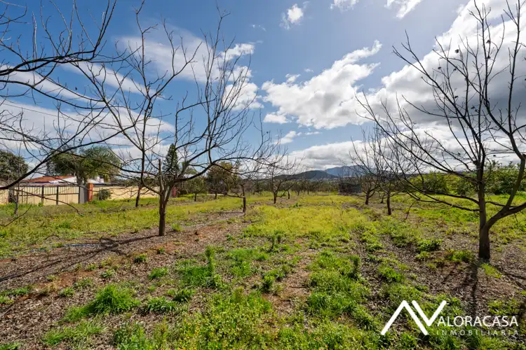 Finca rústica en venta en Coín