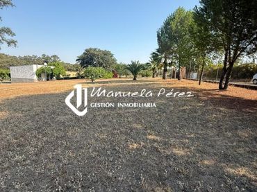 Terrenos y solares en venta en Casar de Cáceres