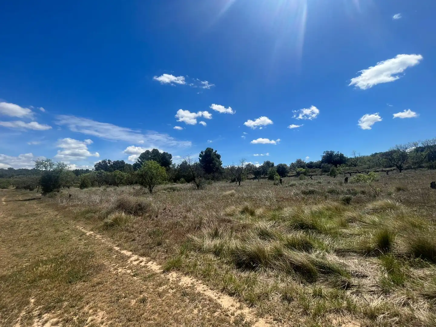 Terreni e lotti in vendita a Arens de Lledó, imagen 2