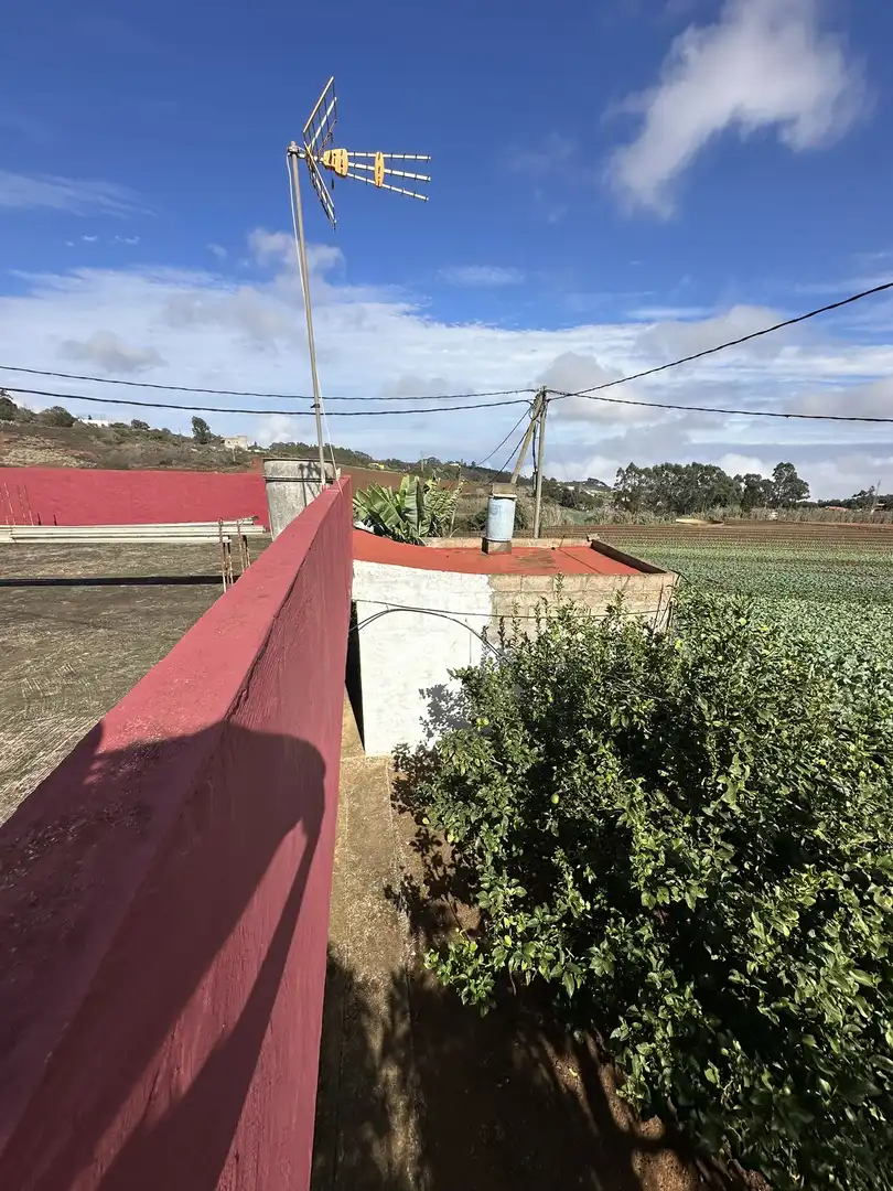 Finca rústica en venta en Santa María de Guía de Gran Canaria