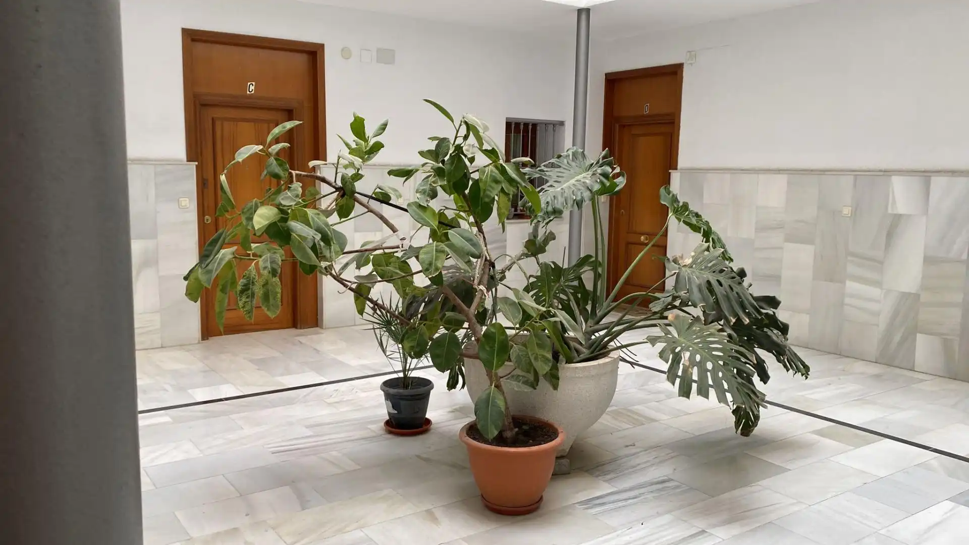 Apartament amb terrassa en venda a Casco Antiguo, imagen 3