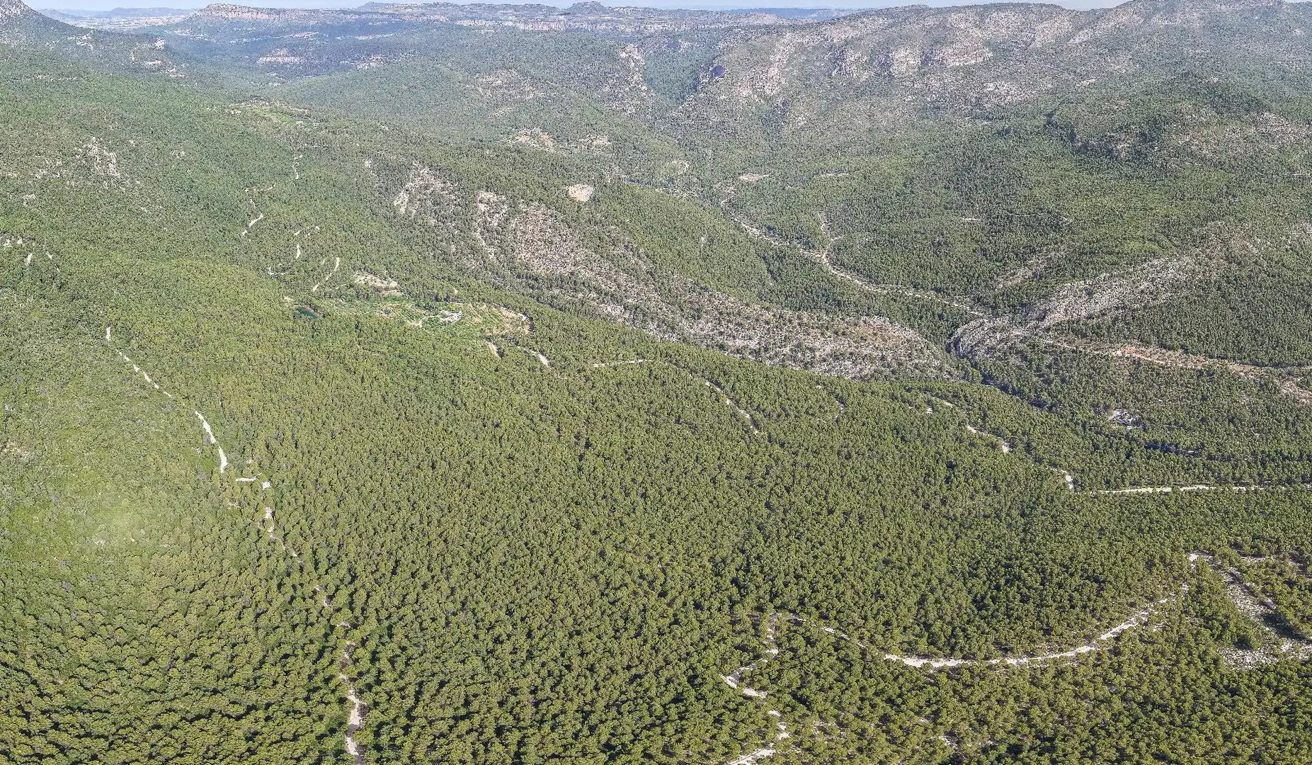 Finca rústica en venta en Moratalla con Piscina