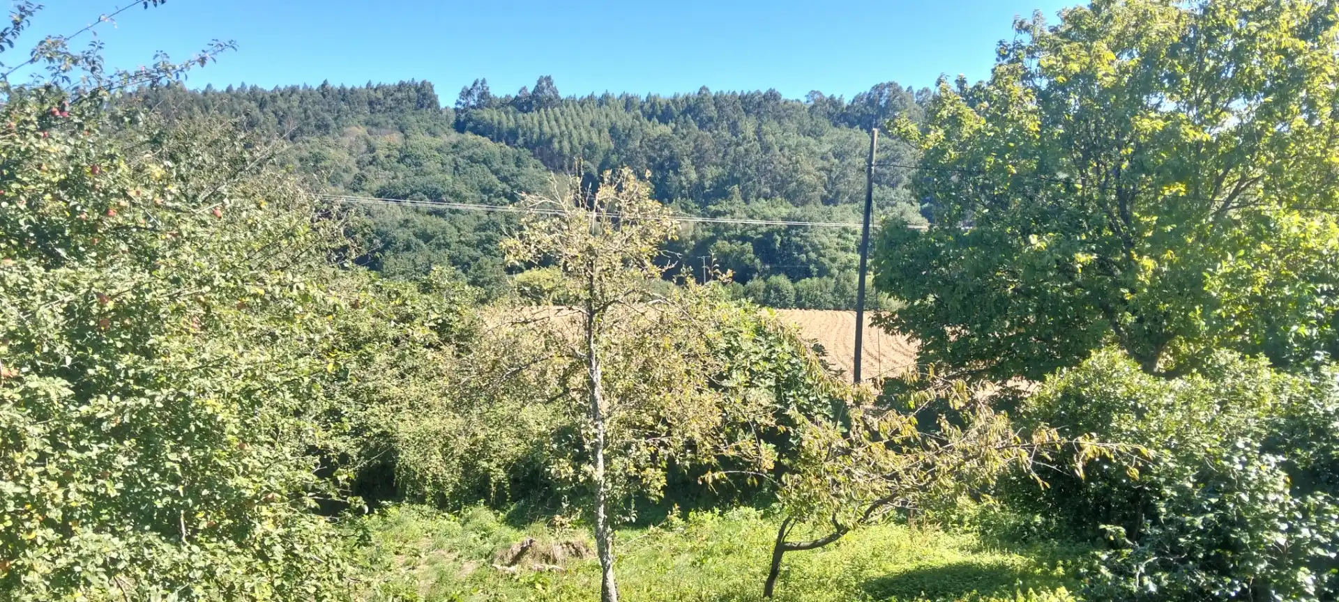 Casa o chalet de alquiler en Chandrexa de Queixa con Jardín privado, Terraza y Trastero