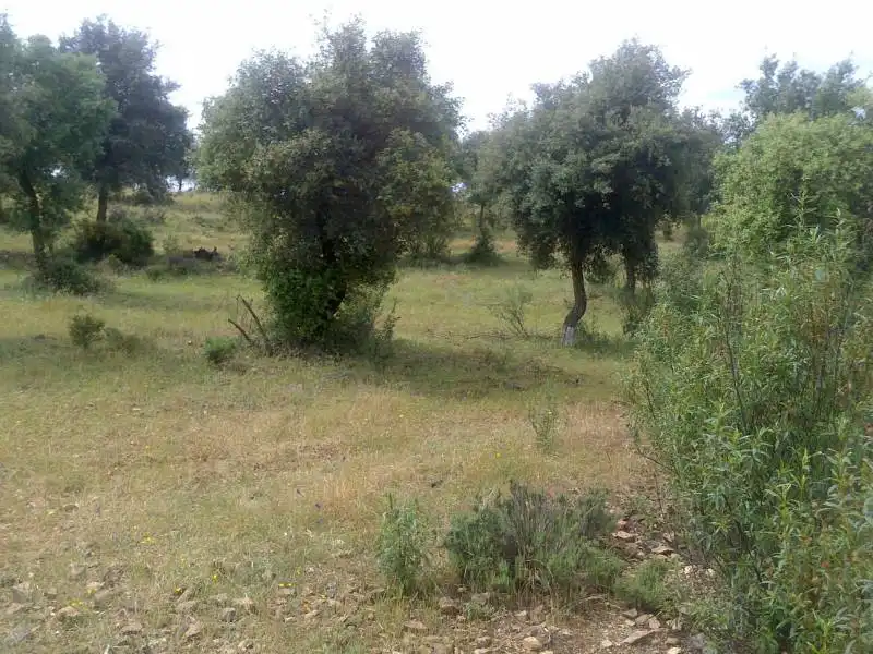 Casa rústica en venda a Valverde del Camino, imagen 13