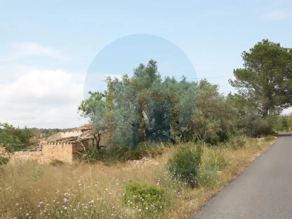 Country house for sale in Poligono 133 Paraje 41, imagen 3
