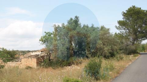 Foto 3 de Finca rústica en venda a Poligono 133 Paraje 41, Urbanitzacions, Tortosa