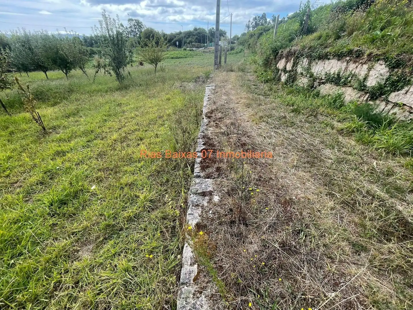 Terreny rústic en venda a Mos, imagen 4