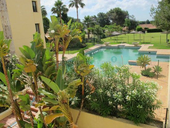 Swimming pool of Apartment to rent in Sotogrande  with Parquet flooring and Community pool