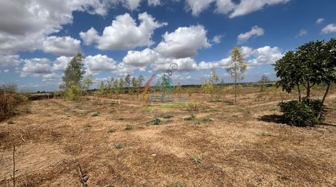 Foto 5 de Finca rústica en venta en Almonte ciudad, Almonte