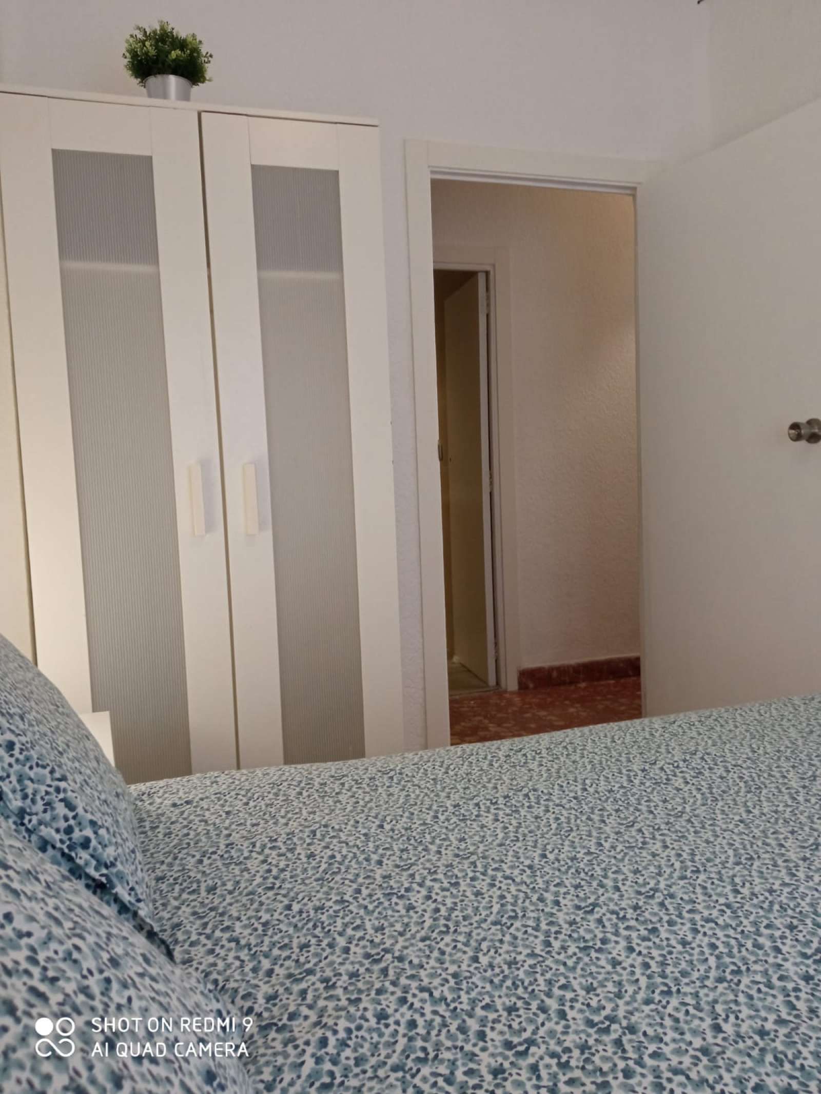 Flat to share in La Raïosa