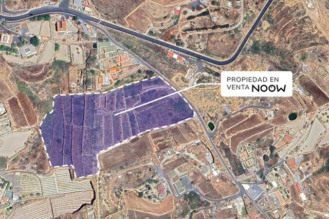 Terreno residencial en Venta en El Pinito en Los Blanquitos