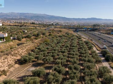 Terreny residencial en venda a Calle de los Juncos