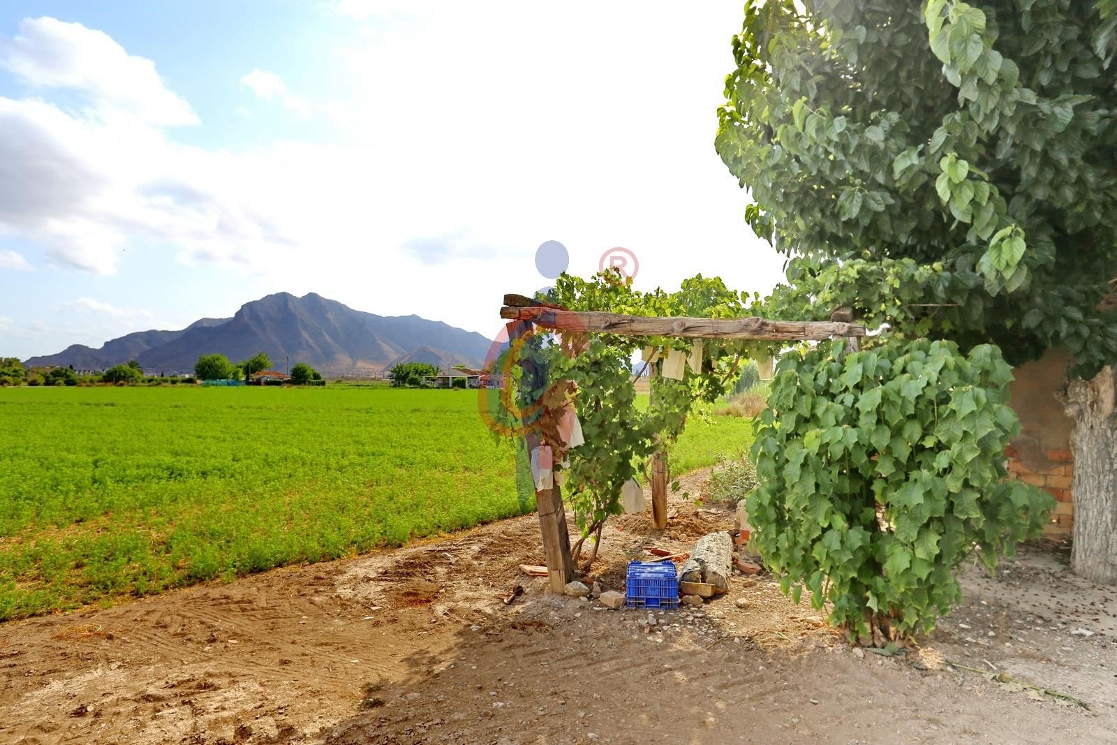 Finca rústica en venda en Callosa de Segura