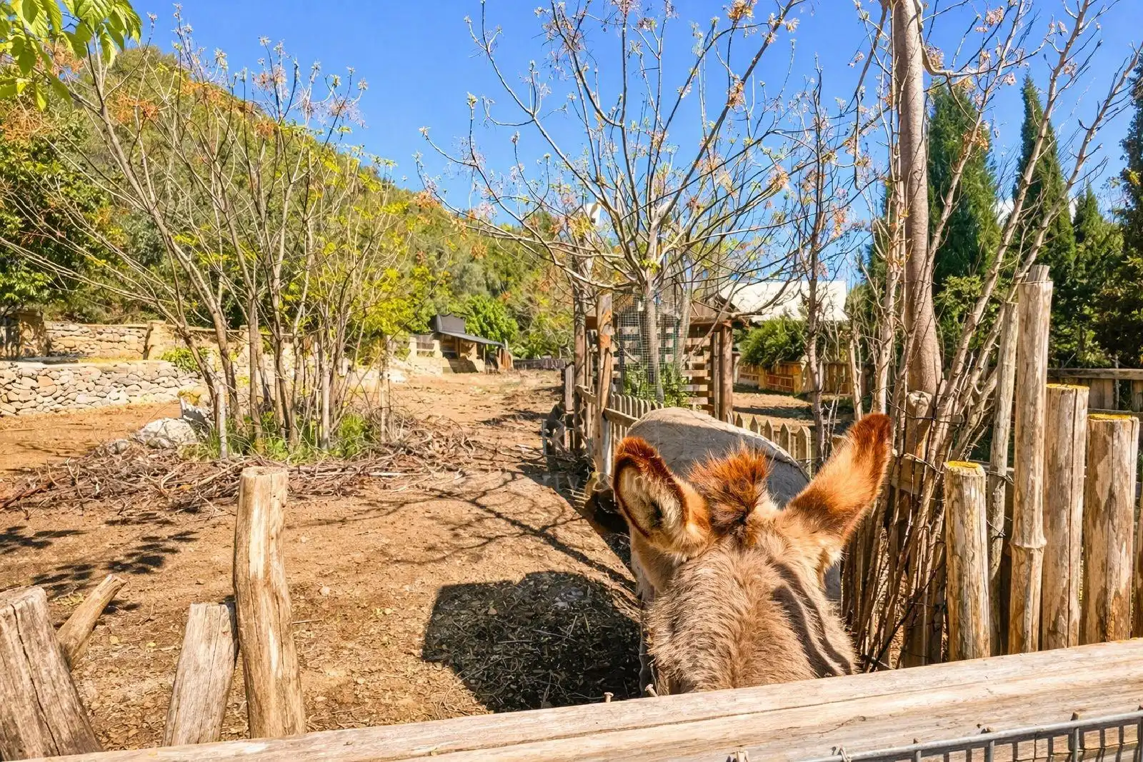 Vista exterior de Finca rústica en venta en Llíber con Aire acondicionado, Calefacción y Jardín privado