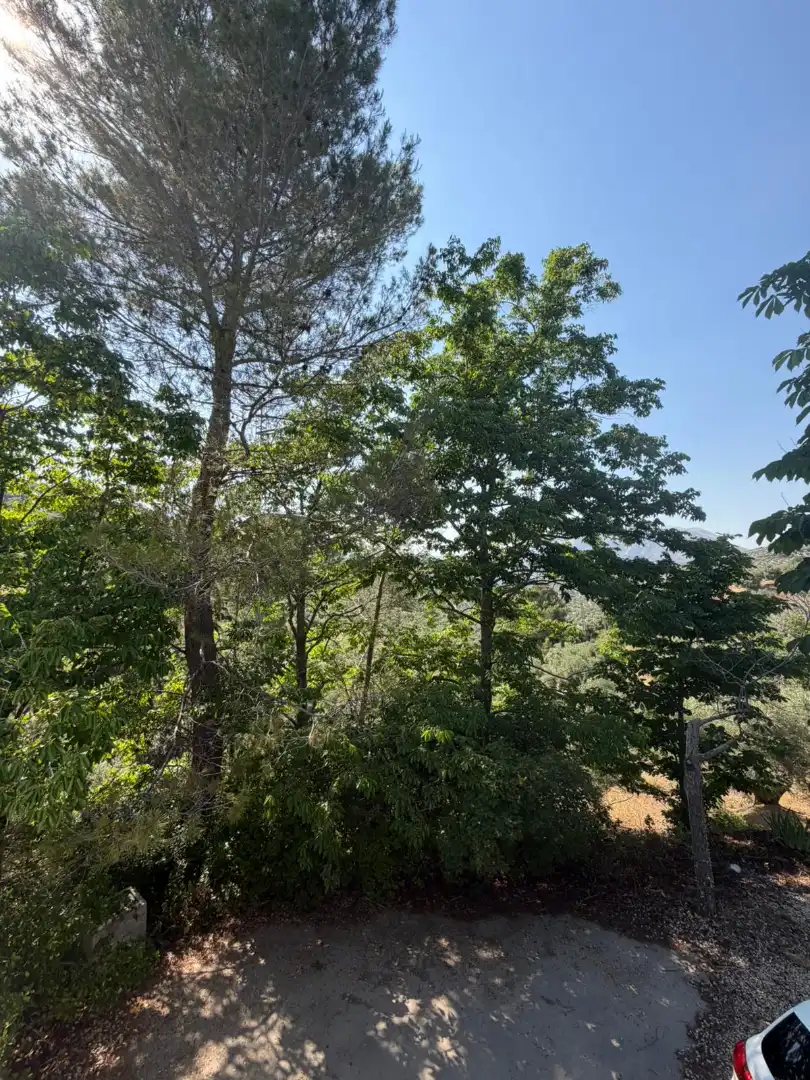 Finca rústica en venta en Los Villares con Terraza, Trastero y Piscina