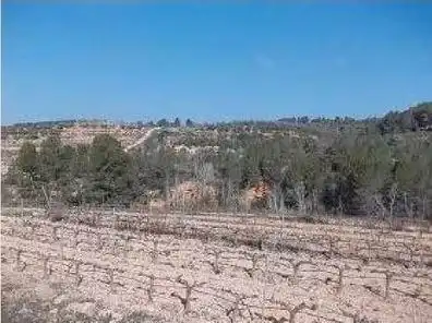 Rural land for sale in Els Guiamets, imagen 2