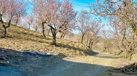 Casa Rural en venta en VélezRubio, 2 dormitorios.
