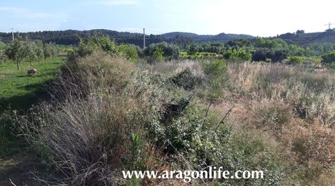 Finca cerca del río Matarraña, immagine 2