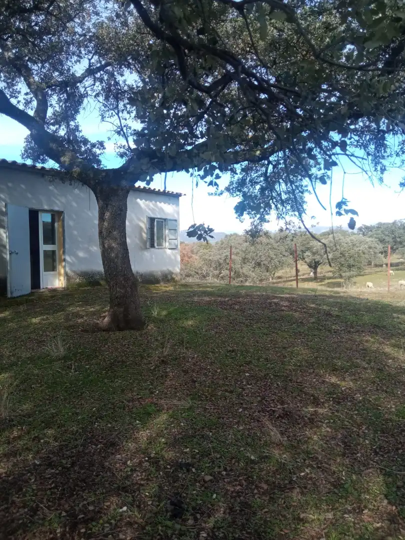 Land for sale in Cardeña