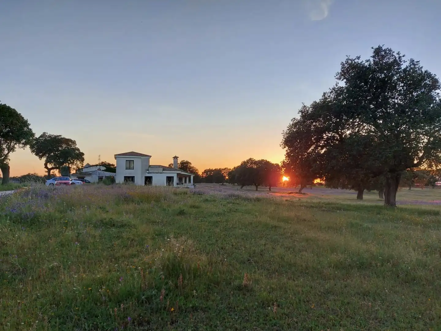 Terreno en venta en Casatejada