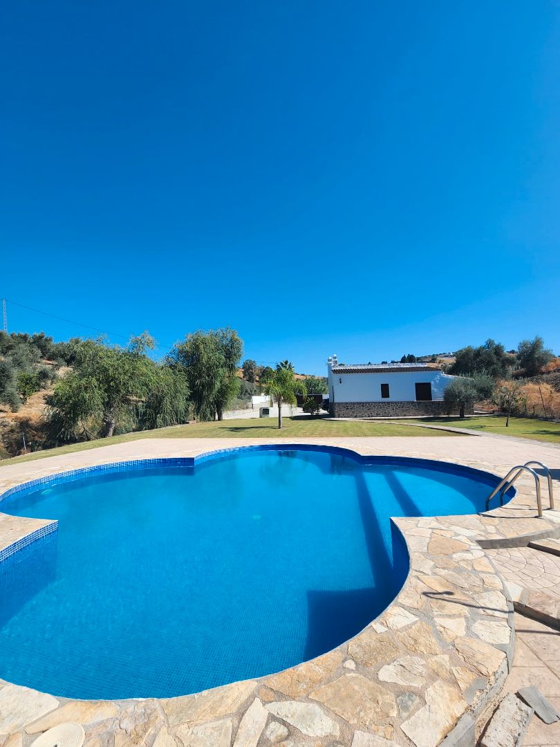 Swimming pool of House or chalet to rent in Coín  with Private garden, Terrace and Swimming Pool